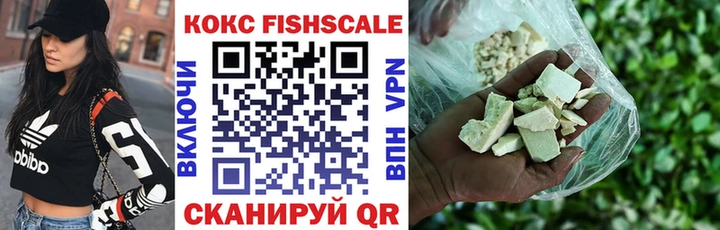 Кокаин Fish Scale  купить наркоту  Нолинск 