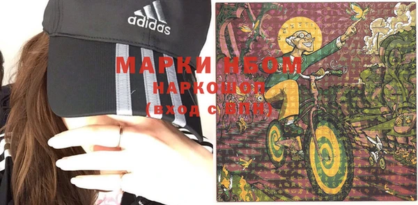 PSILOCYBIN Алзамай