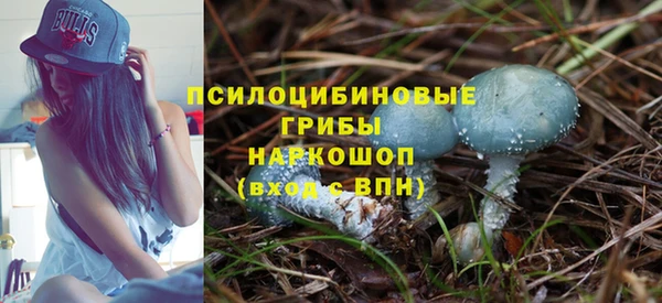 амф Алексеевка