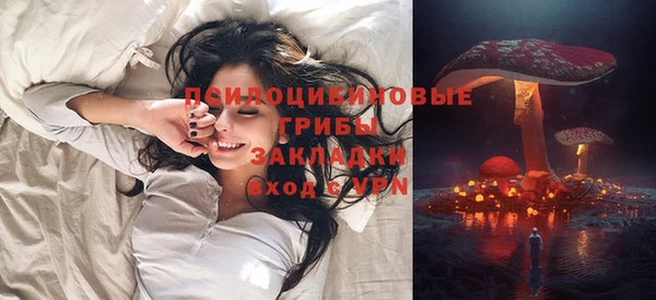 PSILOCYBIN Алзамай