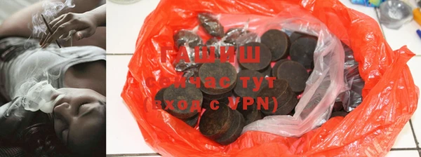 PSILOCYBIN Алзамай