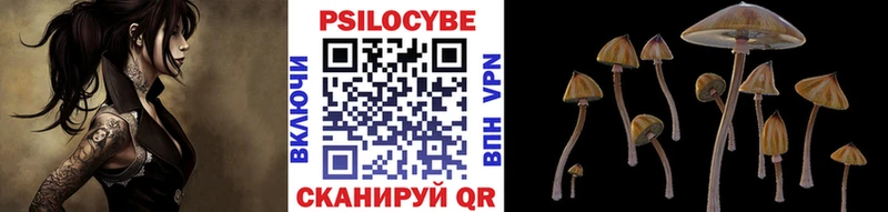 Псилоцибиновые грибы мухоморы  закладка  Нолинск 